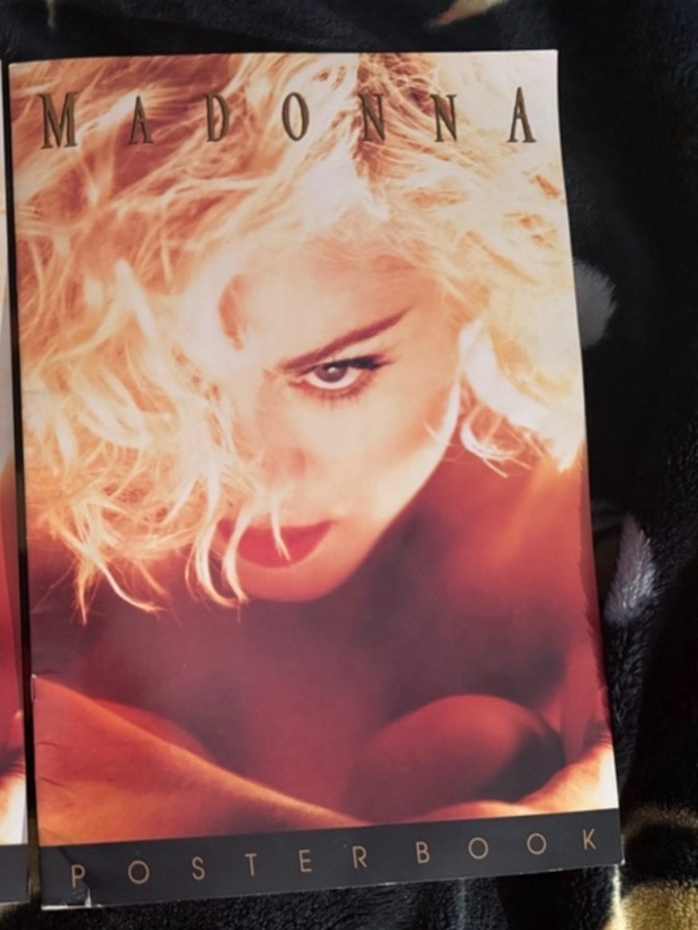 Madonna 1990 concert Tour Vibrant Poster Book